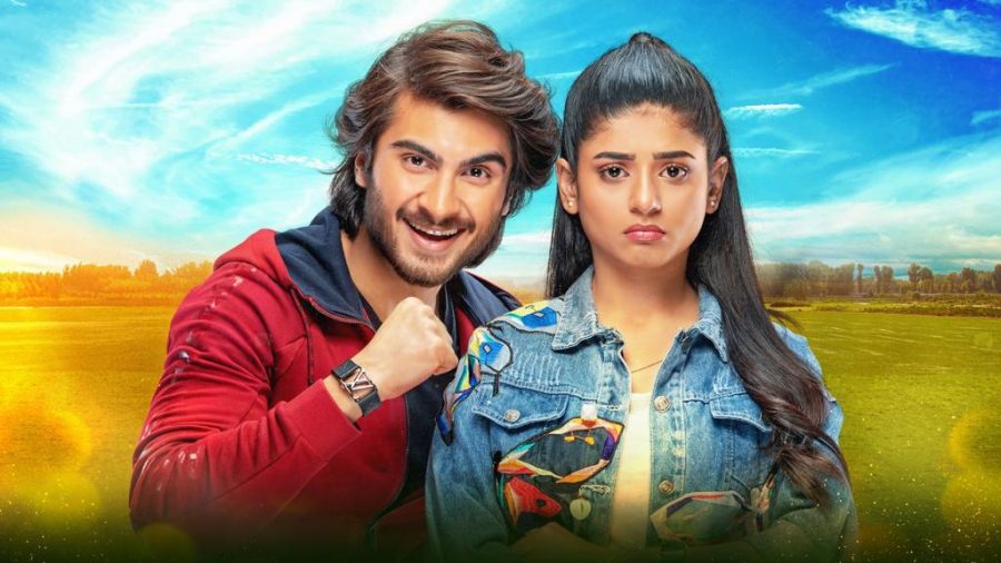 10 Reasons That Make 7th Sky Entertainment's Telefilm 'Teri Meri Kahani